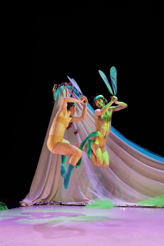 Une scène de la première de la pièce MAMUKA par la COMPAGNIE ELIRALE, directrice artistique et chorégraphe PANTXIKA TELLERIA, présentée à LARREKO, SAINT-PÉE-SUR-NIVELLE le 15 février 2024. Danse contemporaine. Photographie de Stéphane Bellocq.
A scene from the premiered piece MAMUKA by COMPAGNIE ELIRALE, artistic director and choreographer PANTXIKA TELLERIA, performed in LARREKO, SAINT-PEE-SUR-NIVELLE on the 15th february 2024. Contemporary dance. Photography by Stephane Bellocq.
