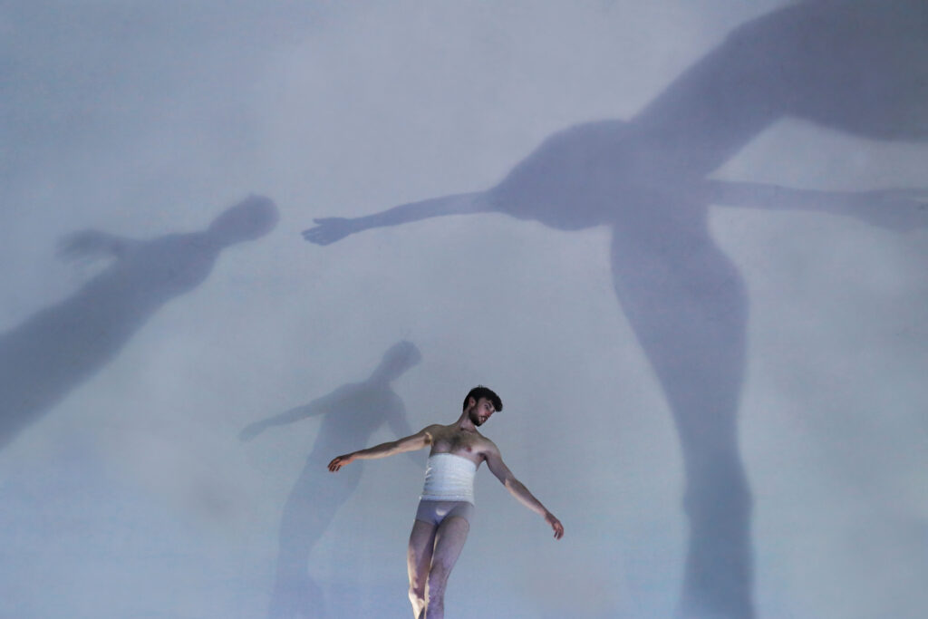 Stéphane Bellocq (3 web)